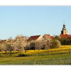 Kalchreuth im Frühling