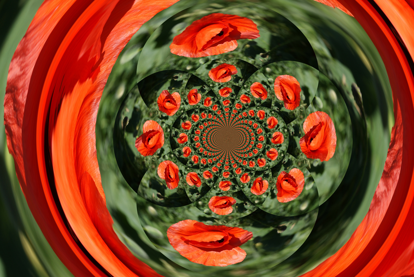 kaléïdoscope coquelicot