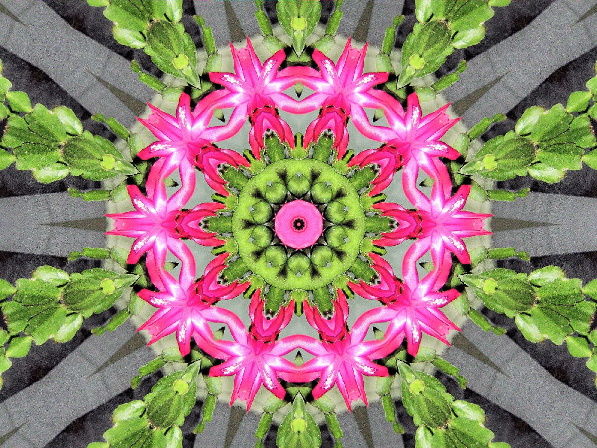 Kaleidoscope