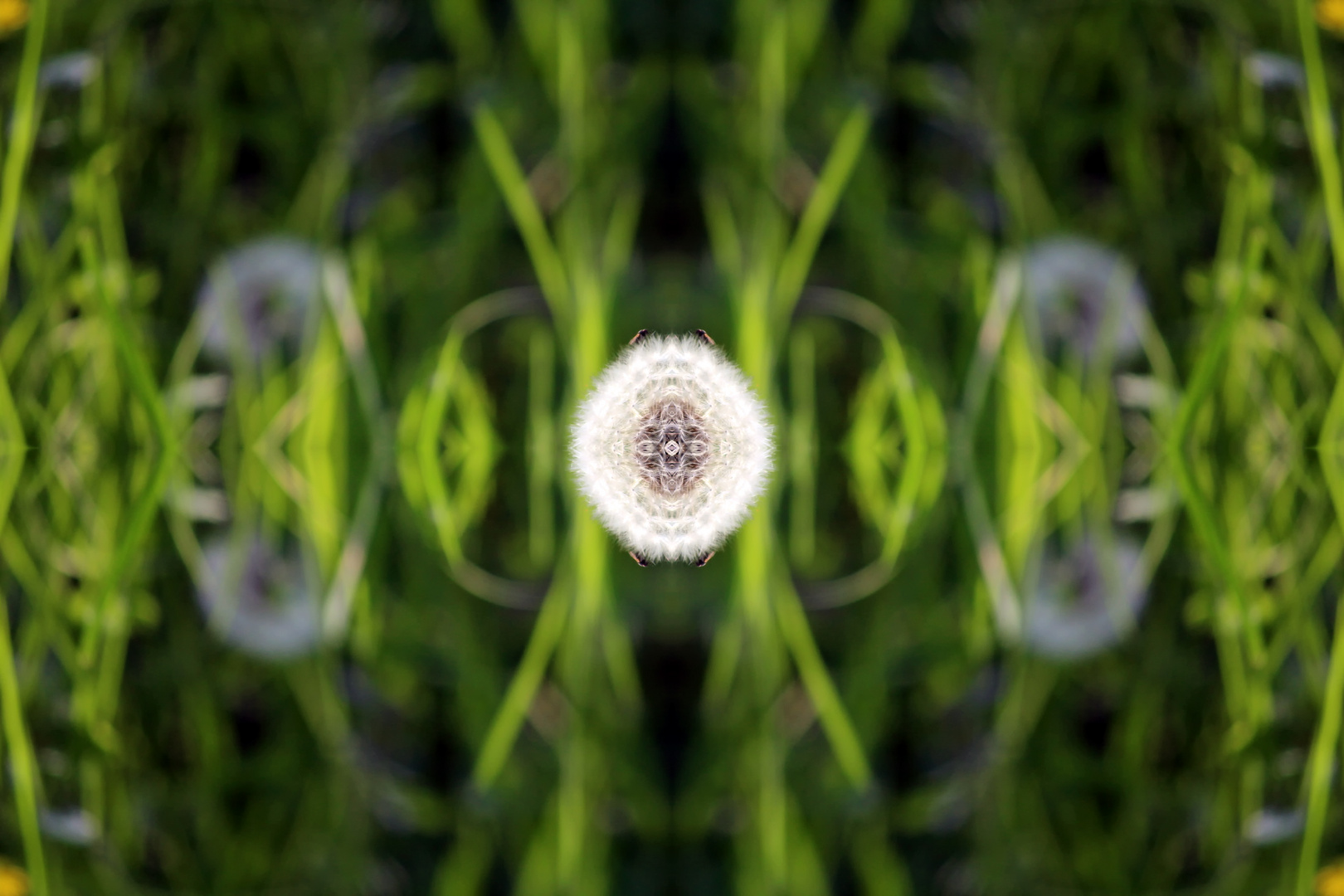 Kaleidoskop 1