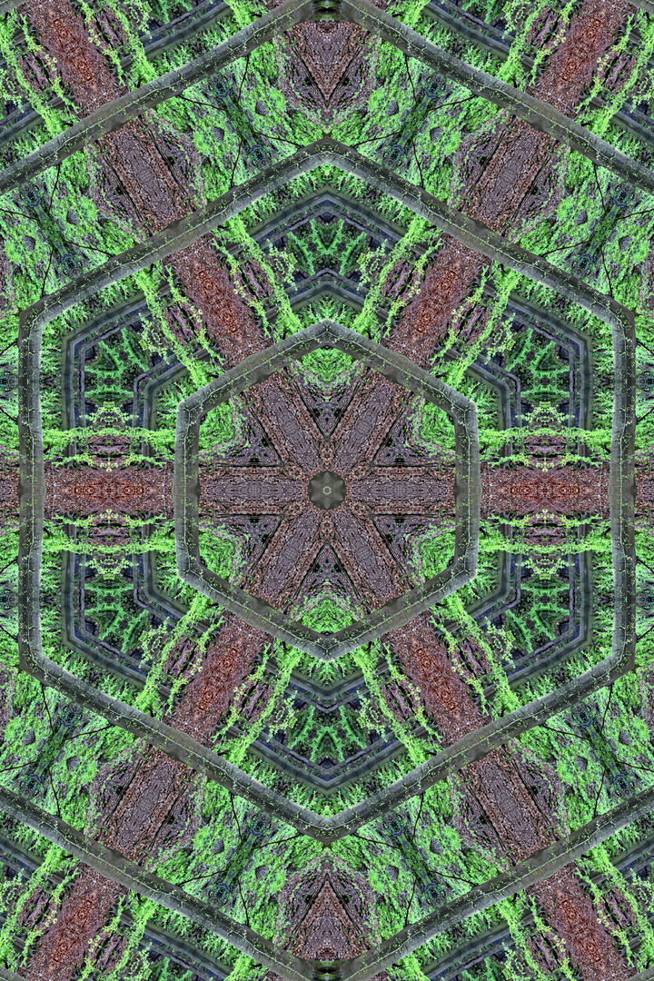 Kaleidoskop 12