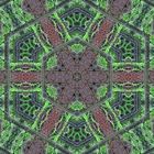 Kaleidoskop 12