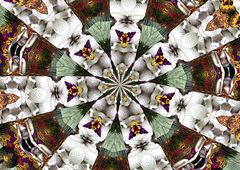 Kaleidoskop