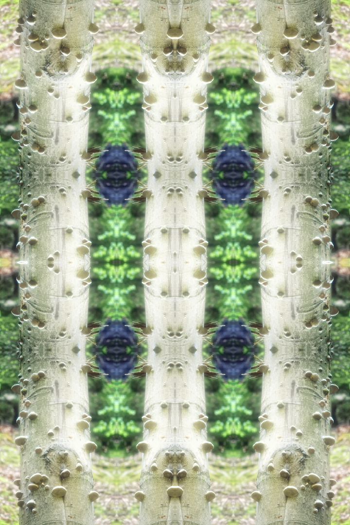 Kaleidoskop 14