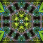 Kaleidoskop 18