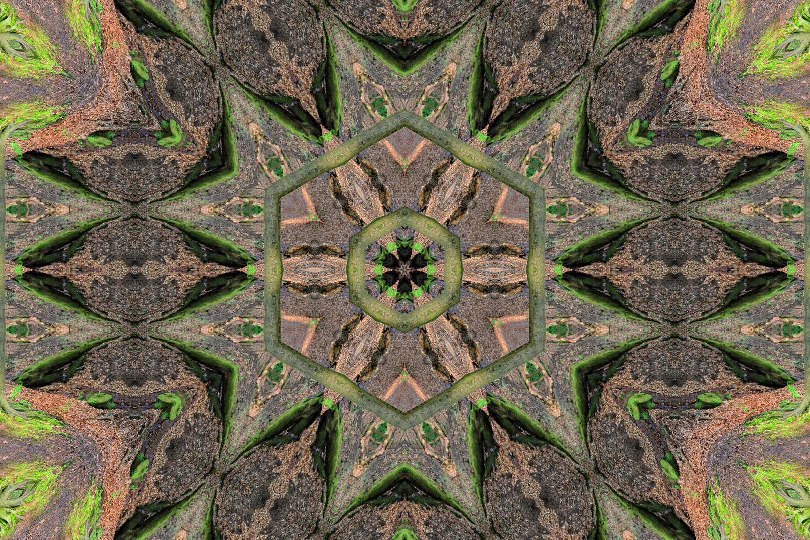 Kaleidoskop 20