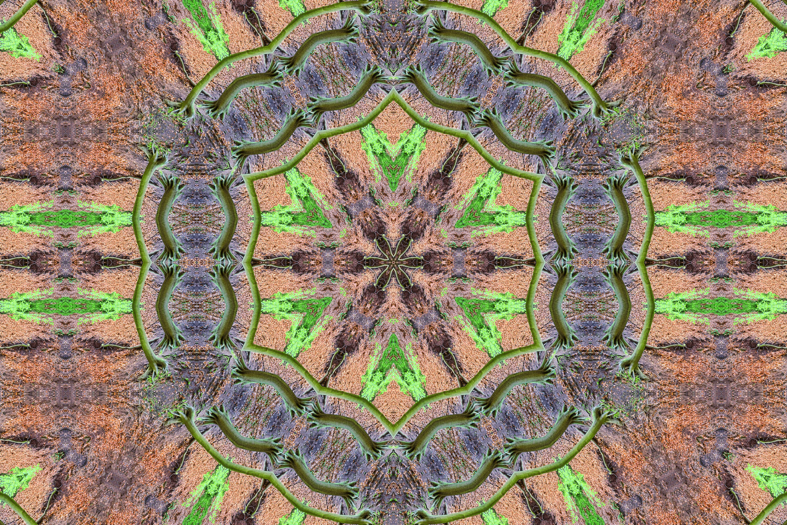 Kaleidoskop 5