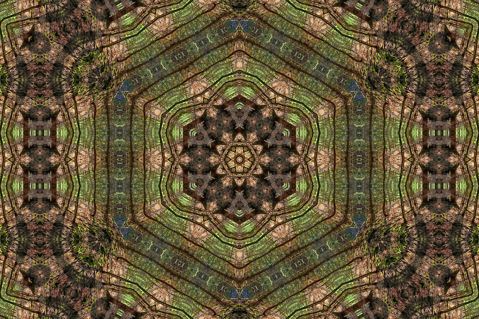 Kaleidoskop 8