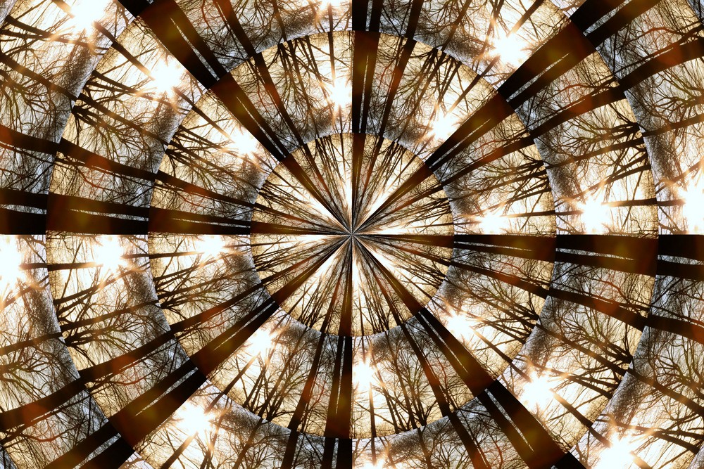 Kaleidoskop vom Wald