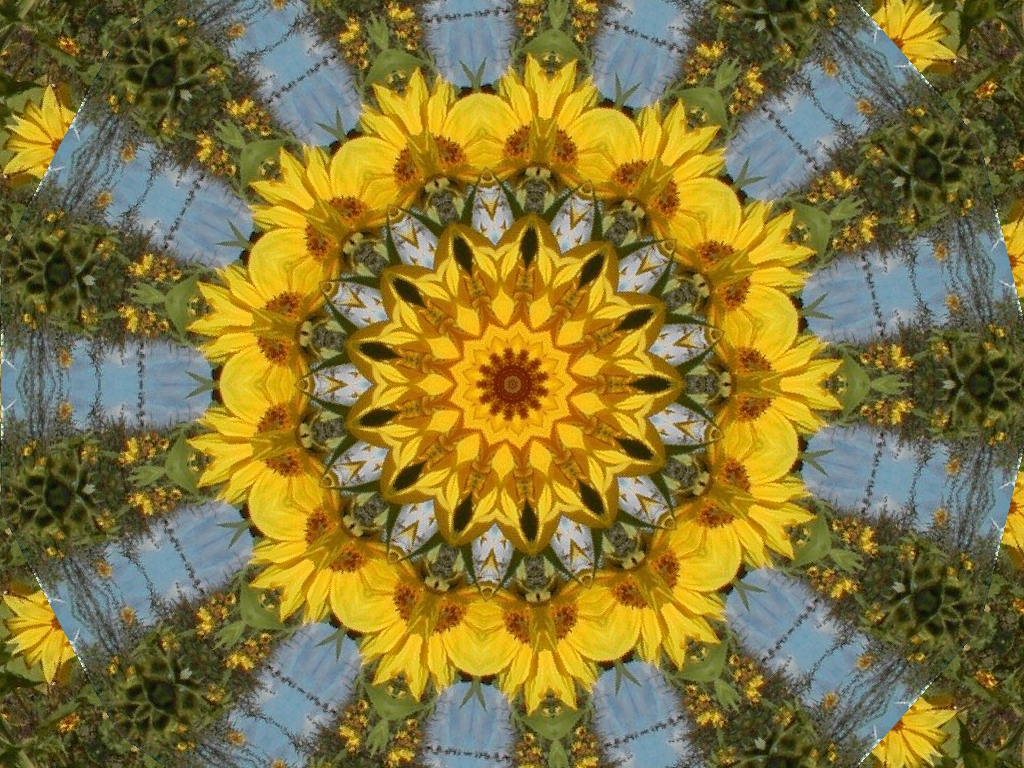 Kaleidoskop8