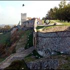 Kalemegdan (Donauseite) Variante