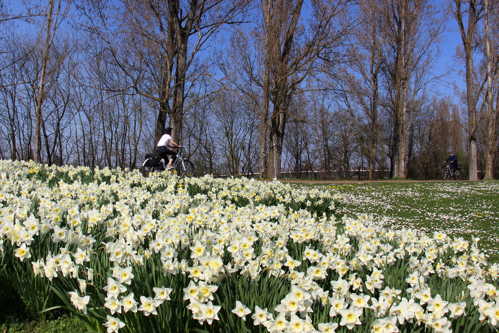 Kalendarische Frühling ab heute