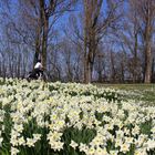 Kalendarische Frühling ab heute