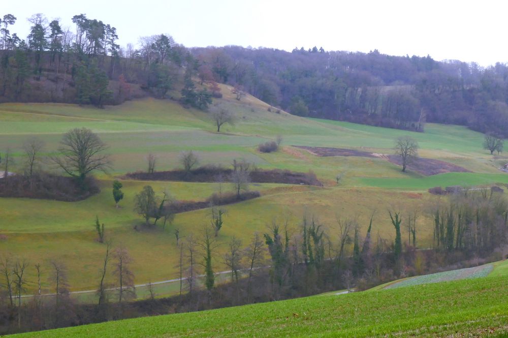 Kalendarischer Winter