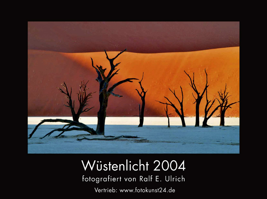 Kalender 2004: Wüstenlicht