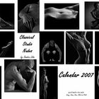 Kalender 2007