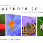 Kalender 2010