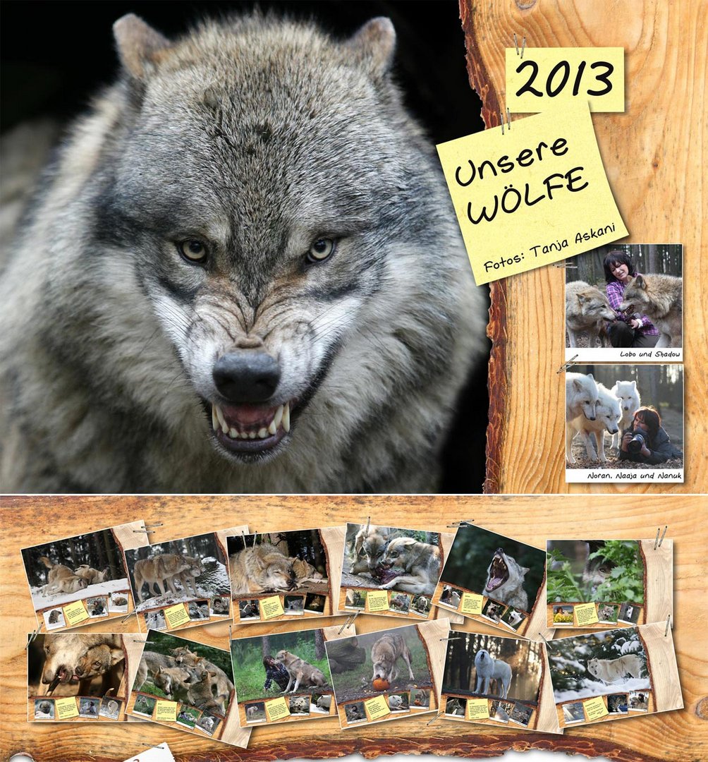 Kalender 2013 "Unsere Wölfe"