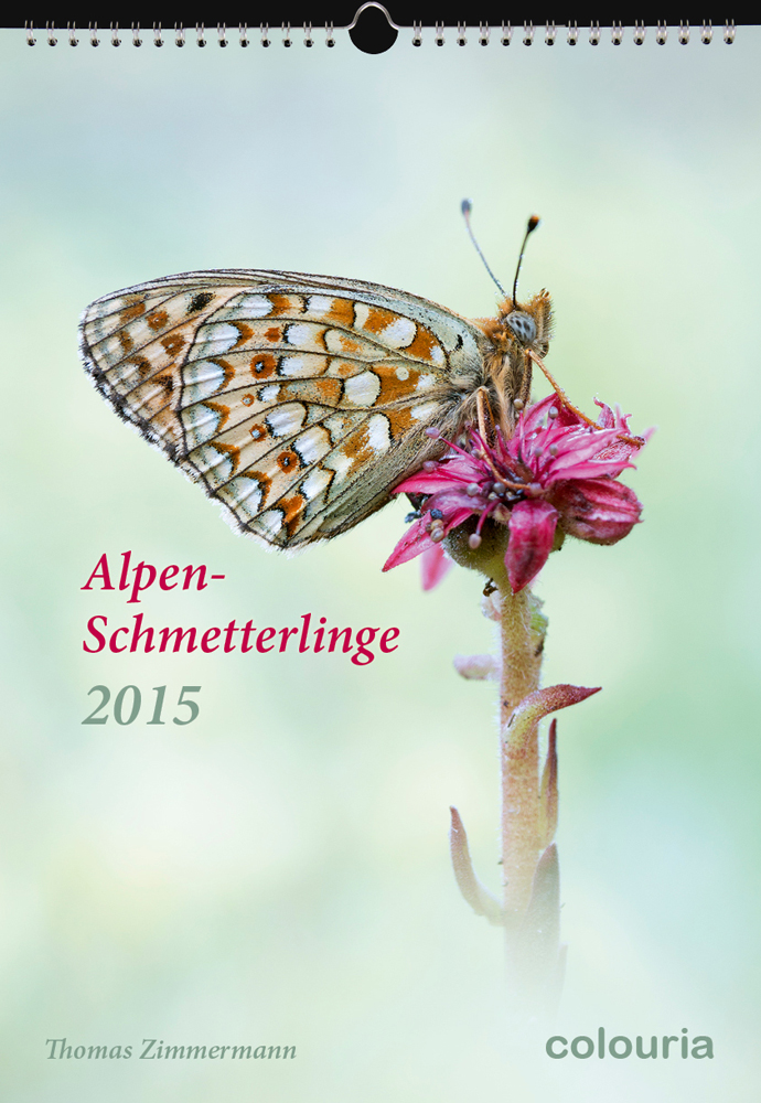 Kalender 2015