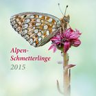 Kalender 2015