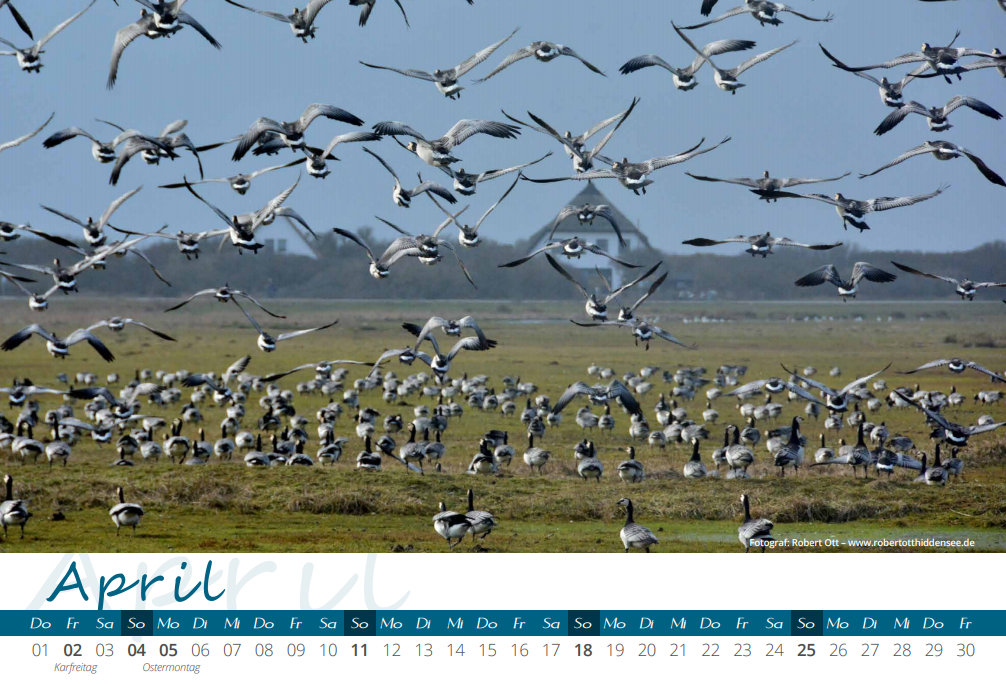 Kalender 2021 Hiddensee April