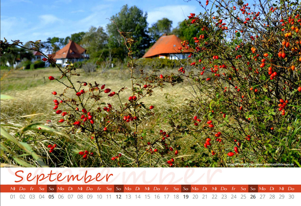 Kalender 2021 Hiddensee September