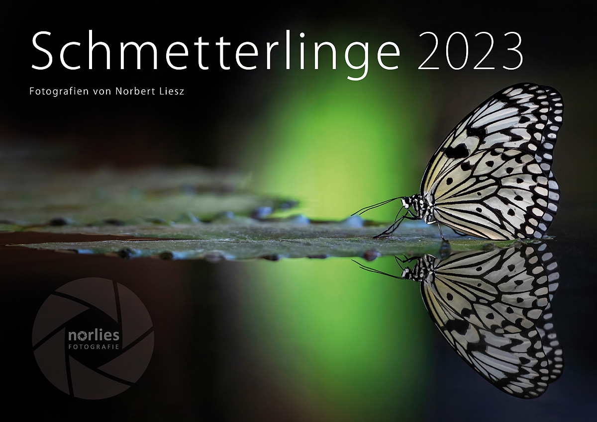 Kalender 2023 Schmetterlinge