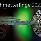 Kalender 2023 Schmetterlinge