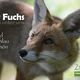 Kalender DER FUCHS mitten unter uns / DIN A2 / Titel