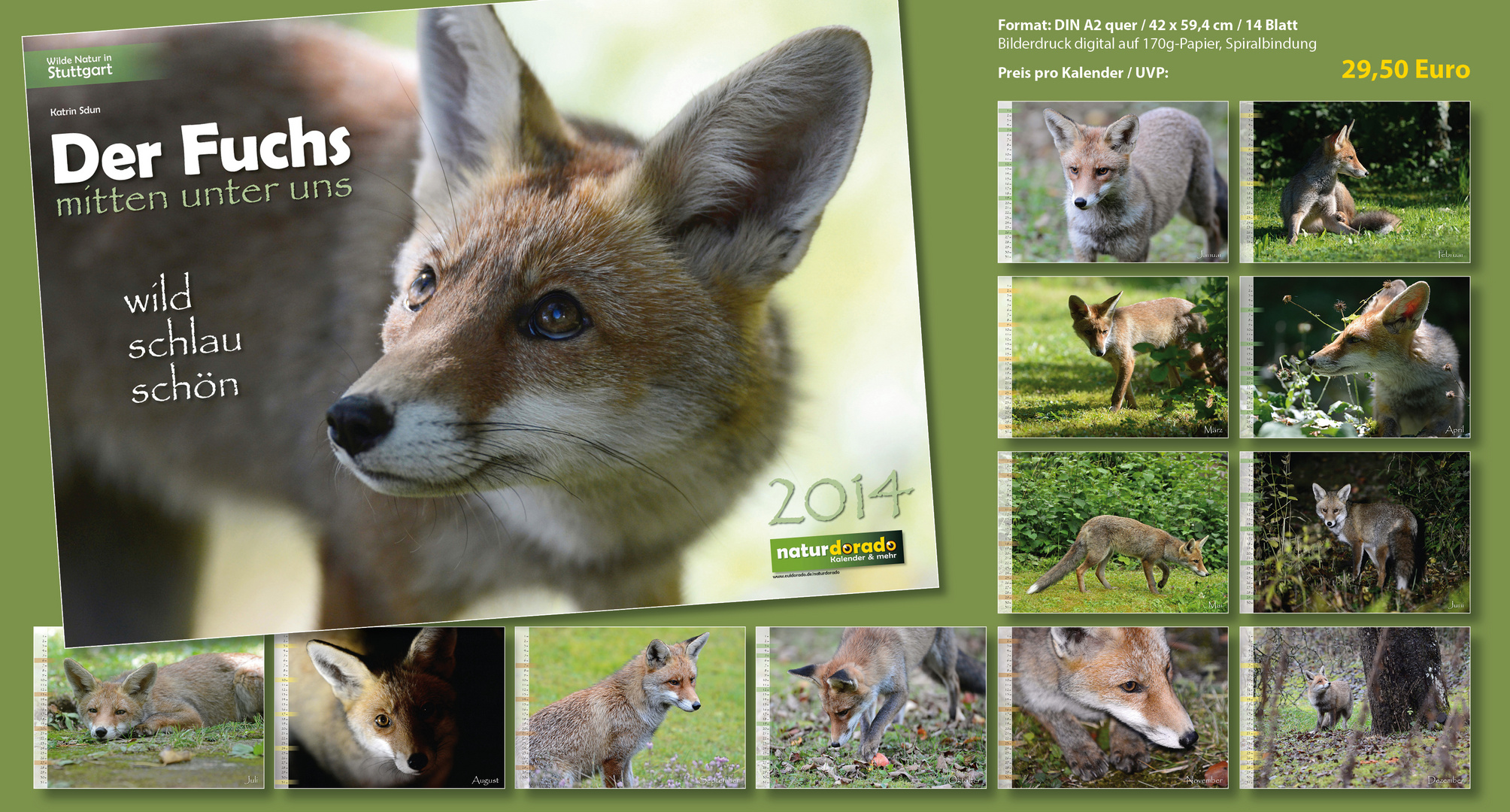 Kalender DER FUCHS mitten unter uns / DIN A2 / Übersicht Foto & Bild  karten und kalender 
