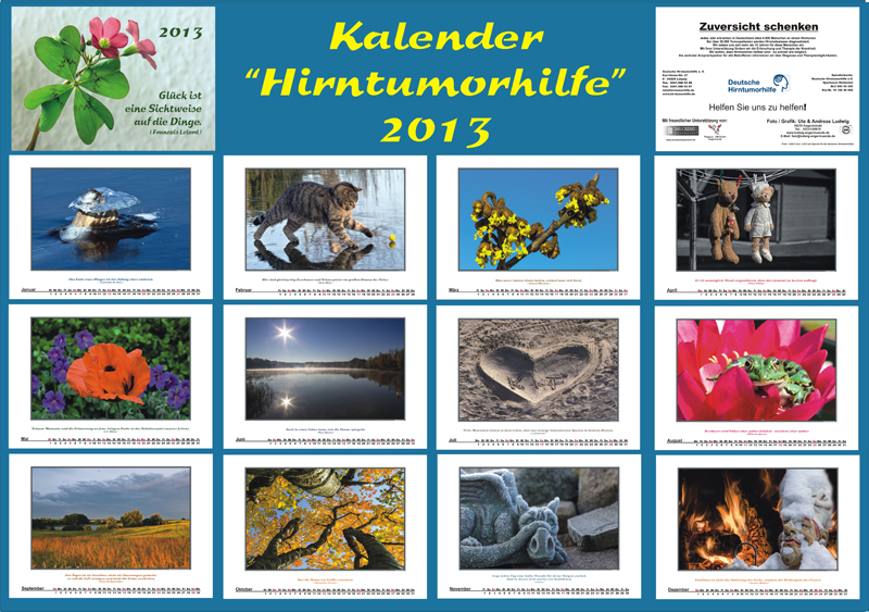 Kalender "Hirntumorhilfe" 2013