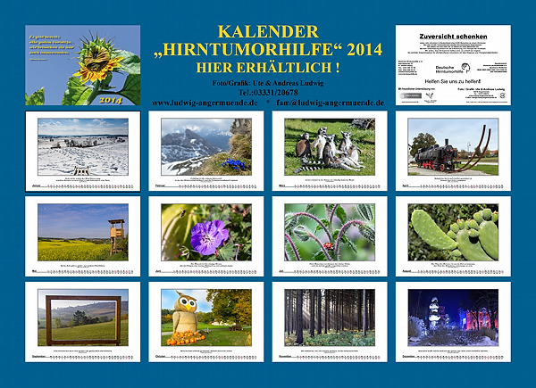 Kalender "Hirntumorhilfe" 2014