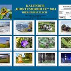 Kalender "Hirntumorhilfe" 2014