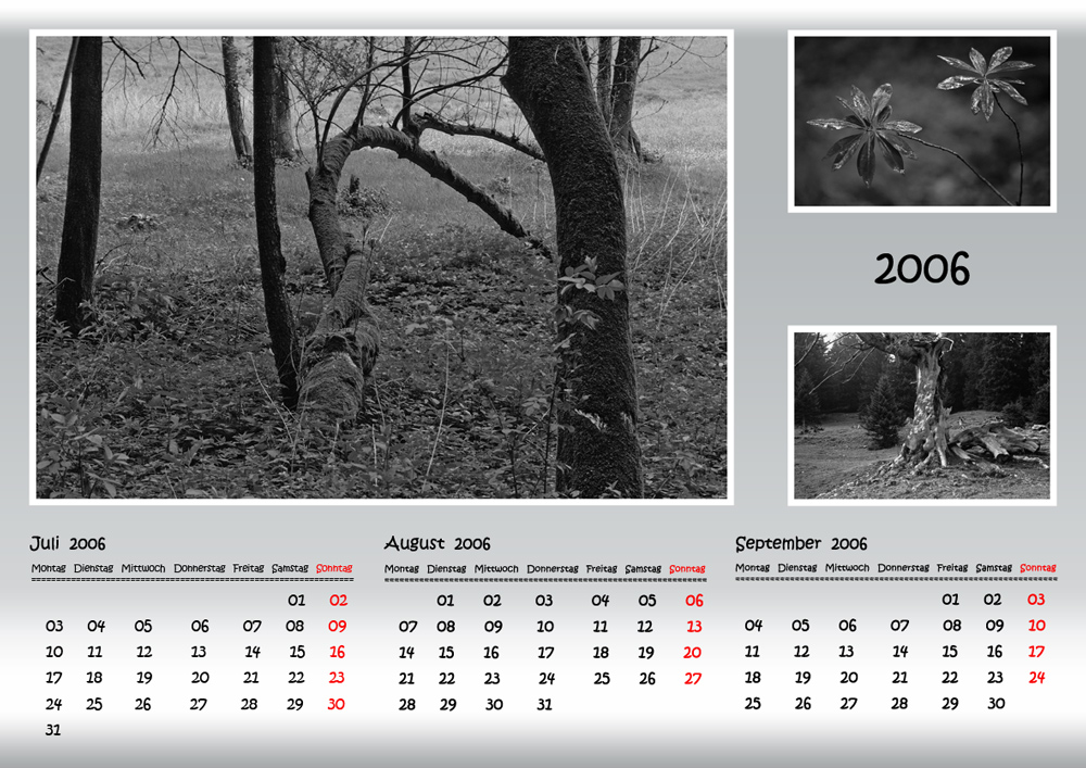 Kalender in Schwarz-Weiss, Quartal 3