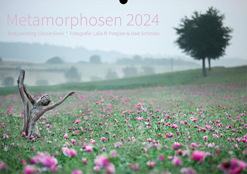 Kalender Metamorphosen 2024