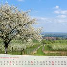 Kalender Thüringer Landschaften 2018 April