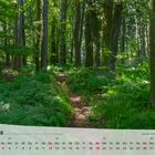 Kalender Thüringer Landschaften 2018 August