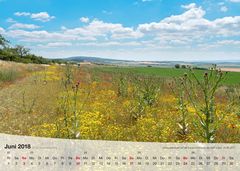 Kalender Thüringer Landschaften 2018 Juni