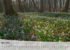 Kalender Thüringer Landschaften 2018 März