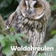 Kalender WALDOHREULEN 2014_Titel