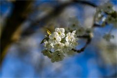 … Kalenderblatt April 2025 …