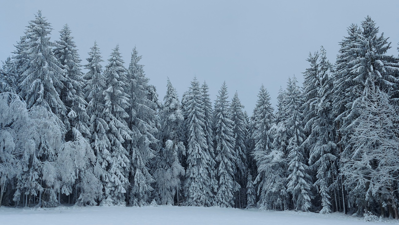 Kalenderentsprechender Anblick 