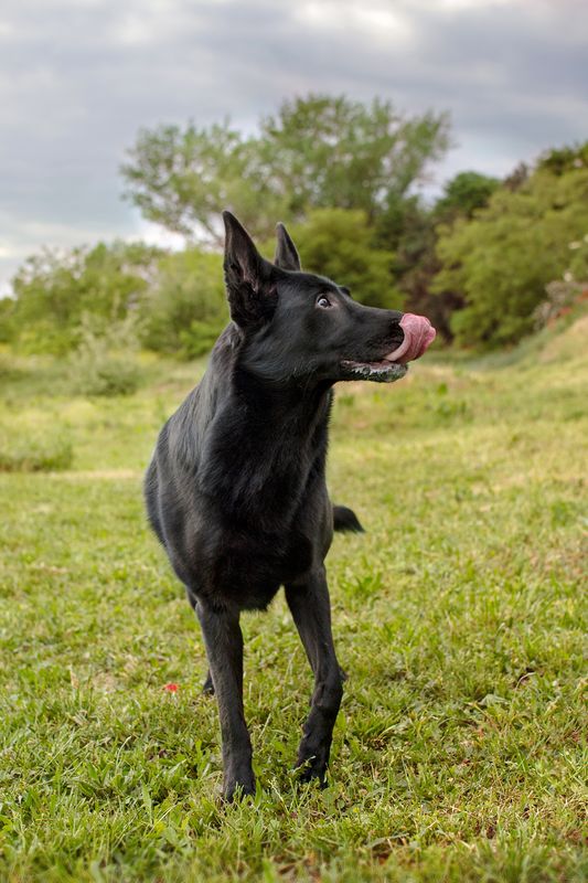 Kali posing