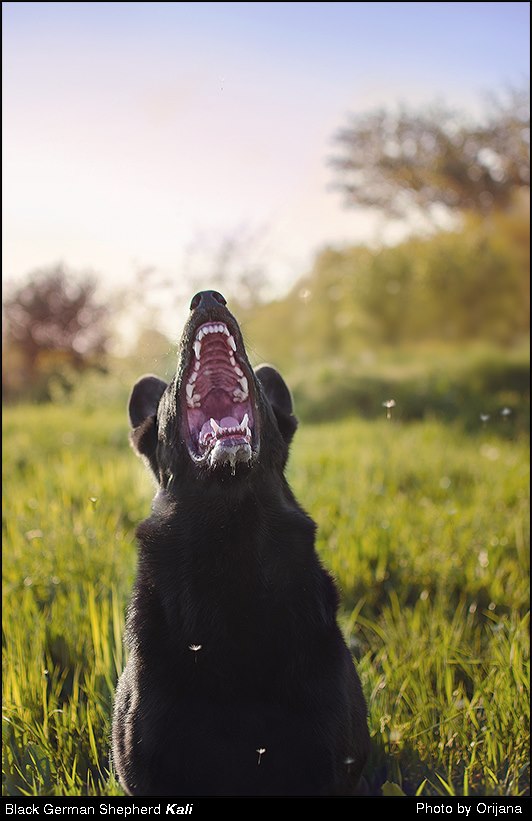 Kali singing