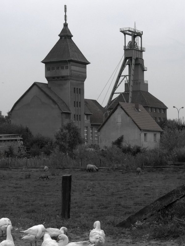 Kalibergwerk Bergmannssegen, Lehrte bei Hannover