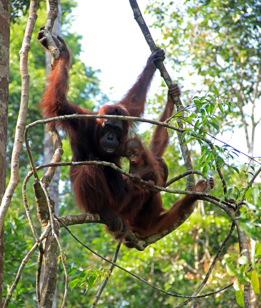 Kalimantan - Mutter mit Kinder