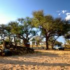 Kaliombo Safari Camp