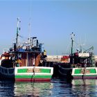 Kalk Bay Harbour