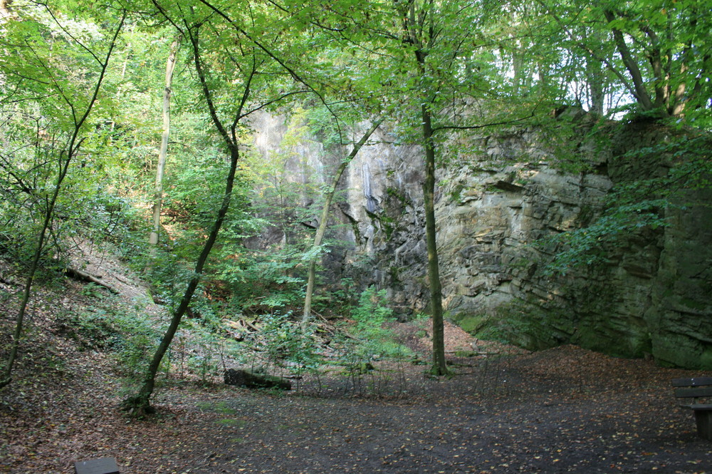 Kalkabbruch im Neanderthal