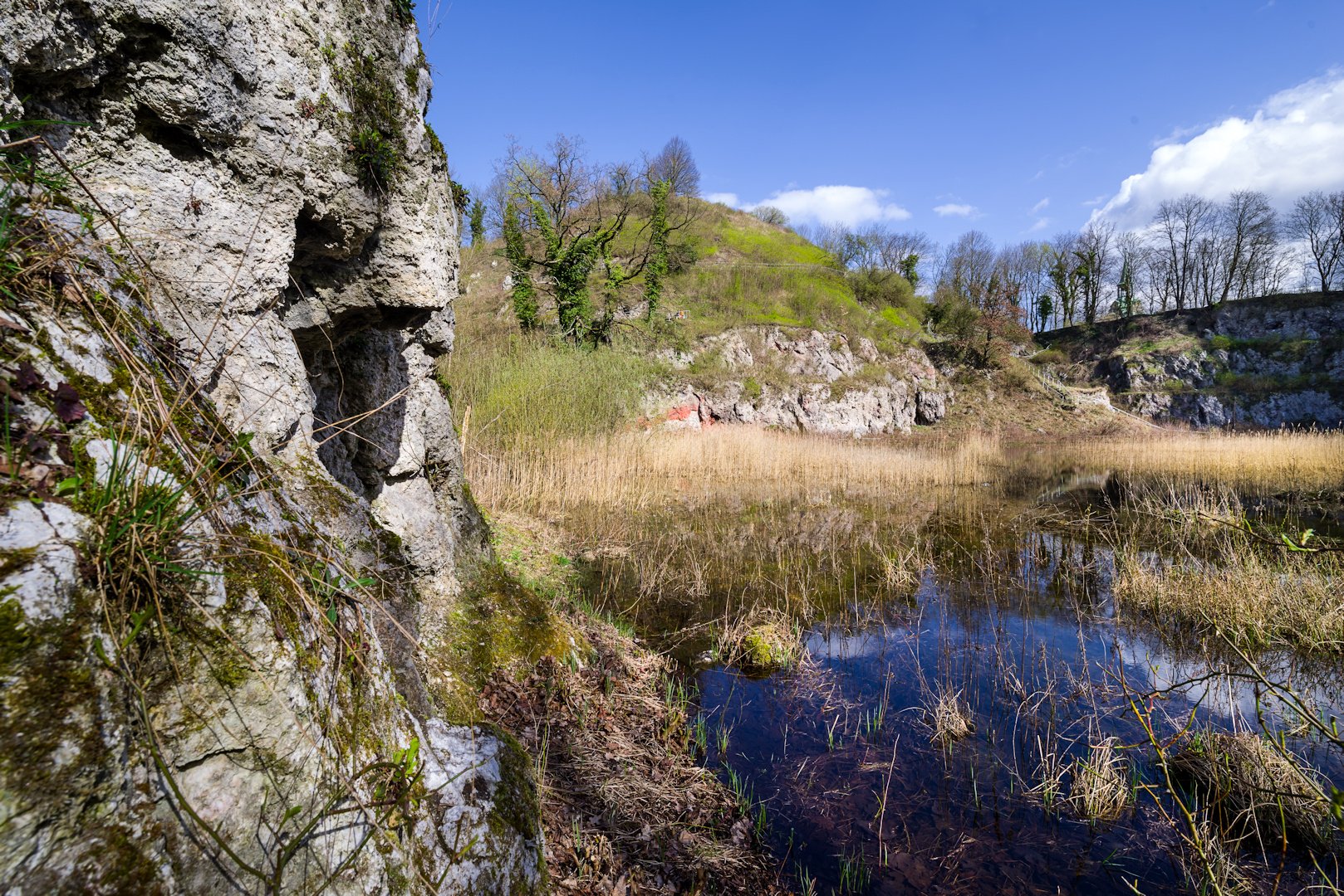 Kalkbergfelsen Lüneburg